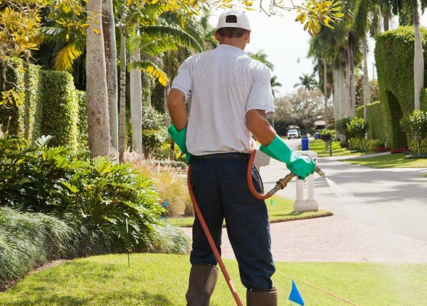 About Marlinton WV Pest Control
